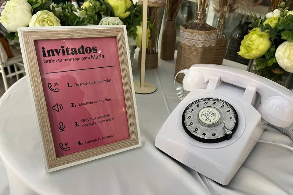 Audiolibro blanco en boda real