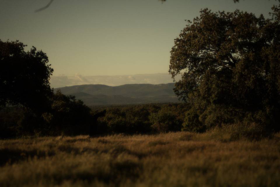 Dehesa
