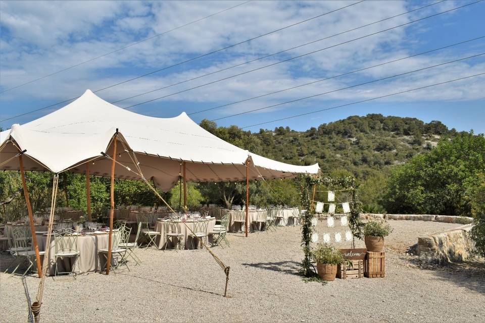 Carpa banquete - seating plan