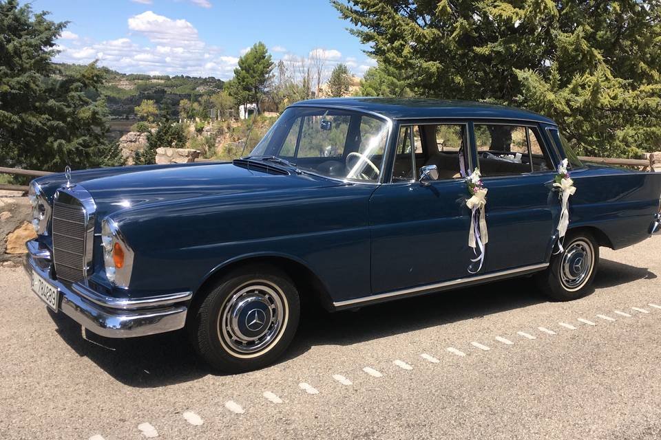 Mercedes220sb