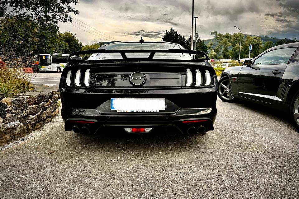 Mustang GT Black Shadow