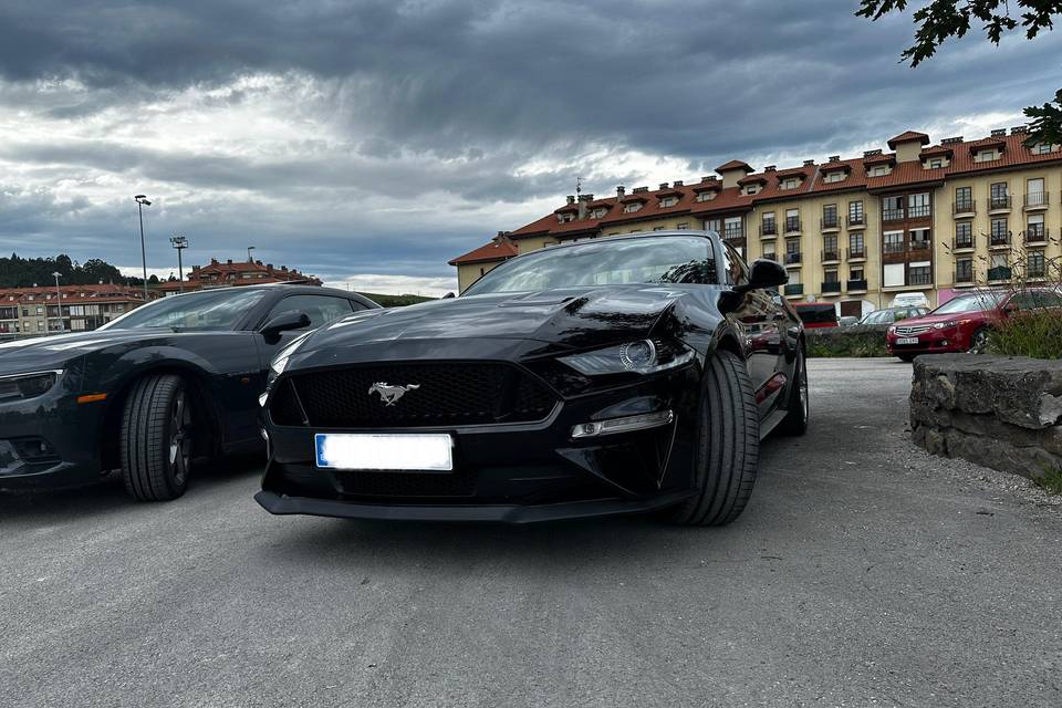 Mustang GT Black Shadow