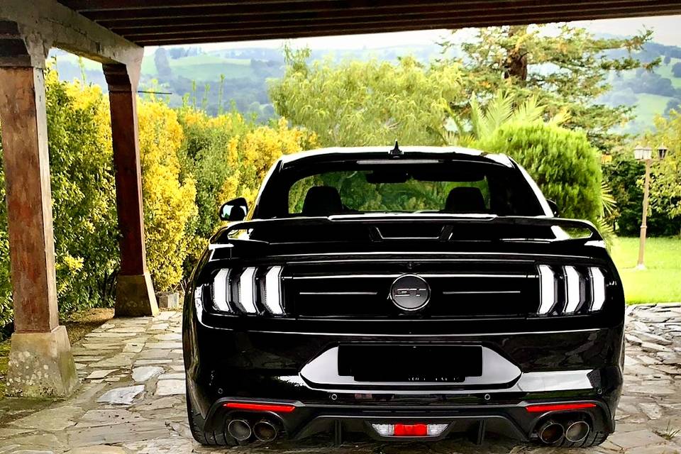 Mustang GT Black Shadow