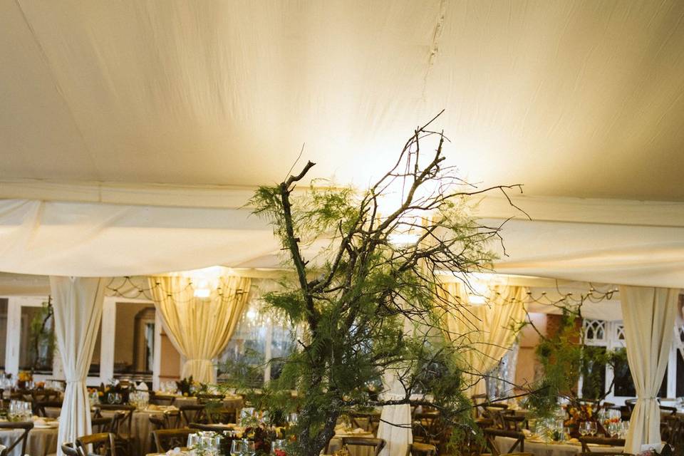 Banquete