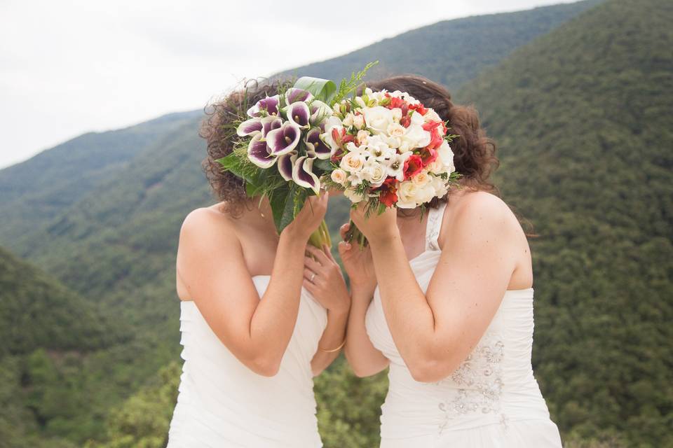 Dos novias de boda