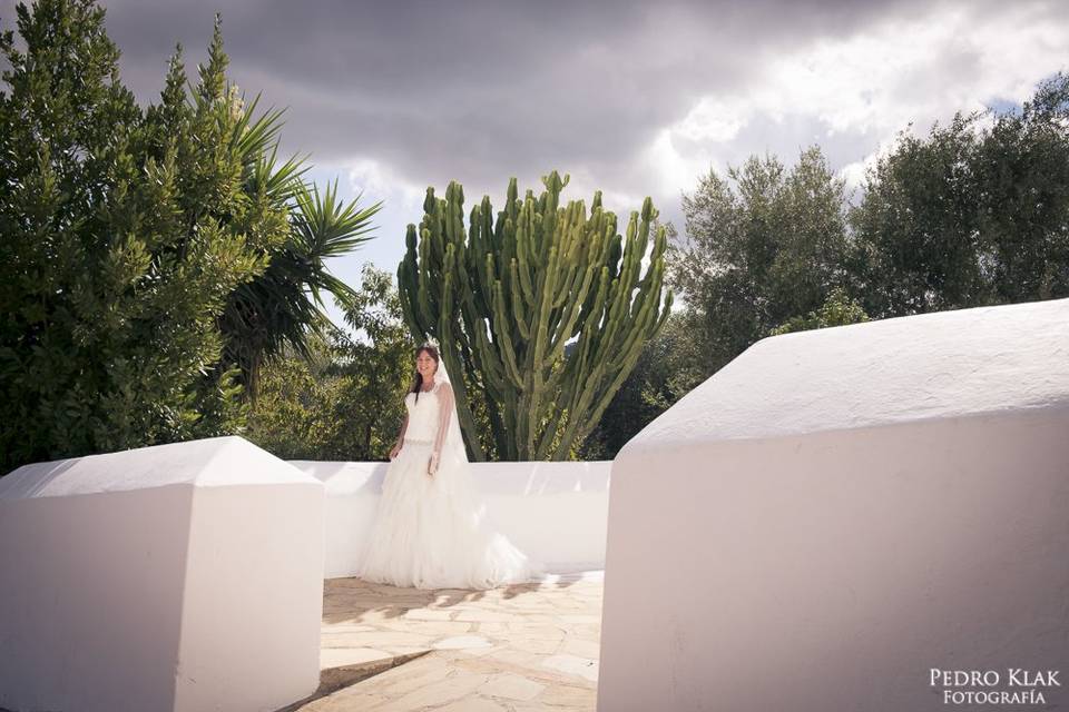 Ali y César postboda