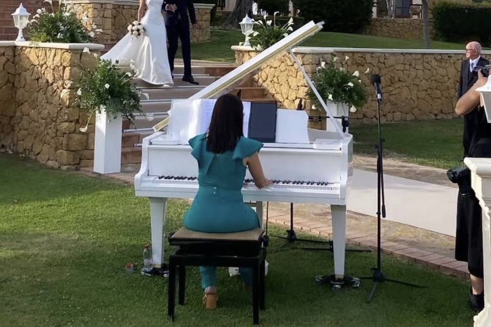 🤍