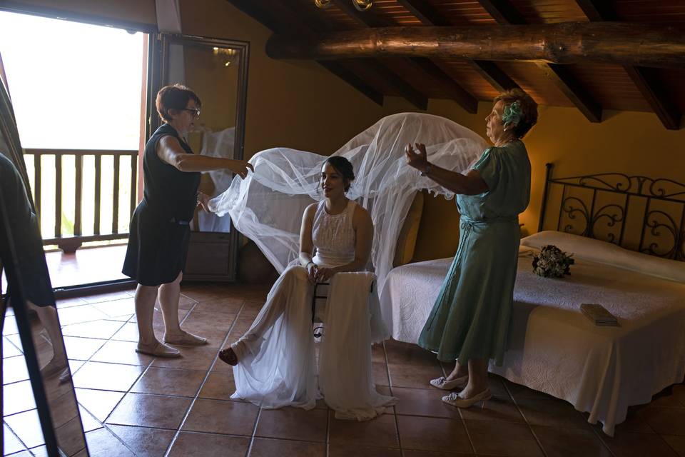 Bodas