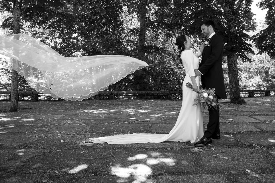 Bodas