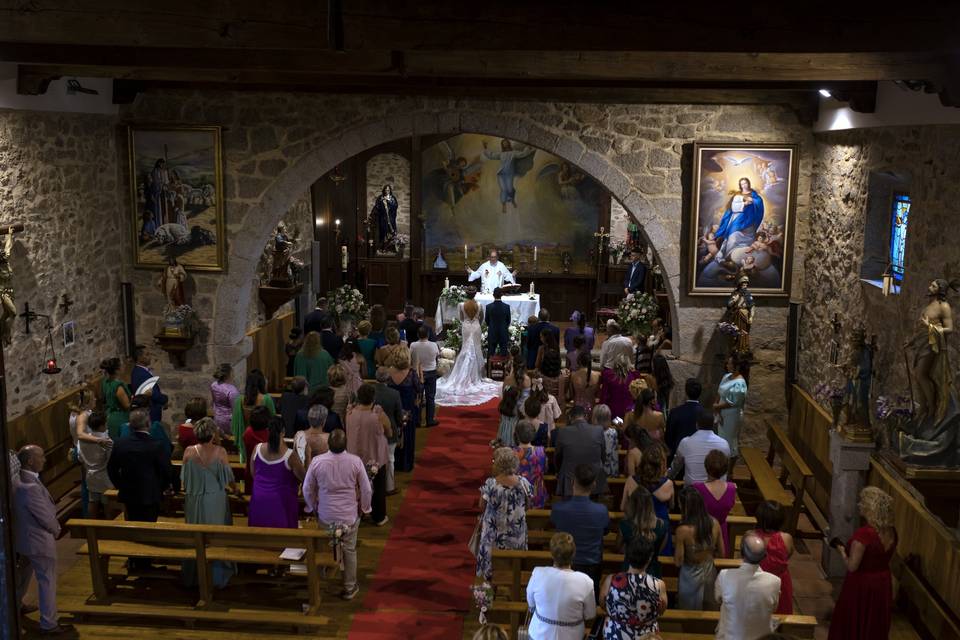 Bodas