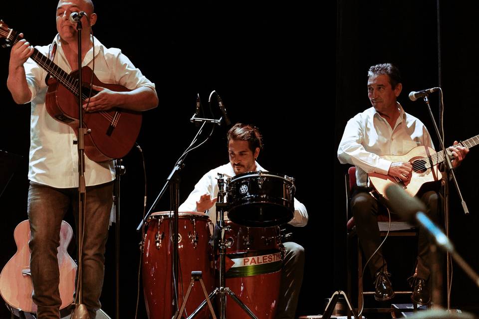 Guitarra, percusión y requinto