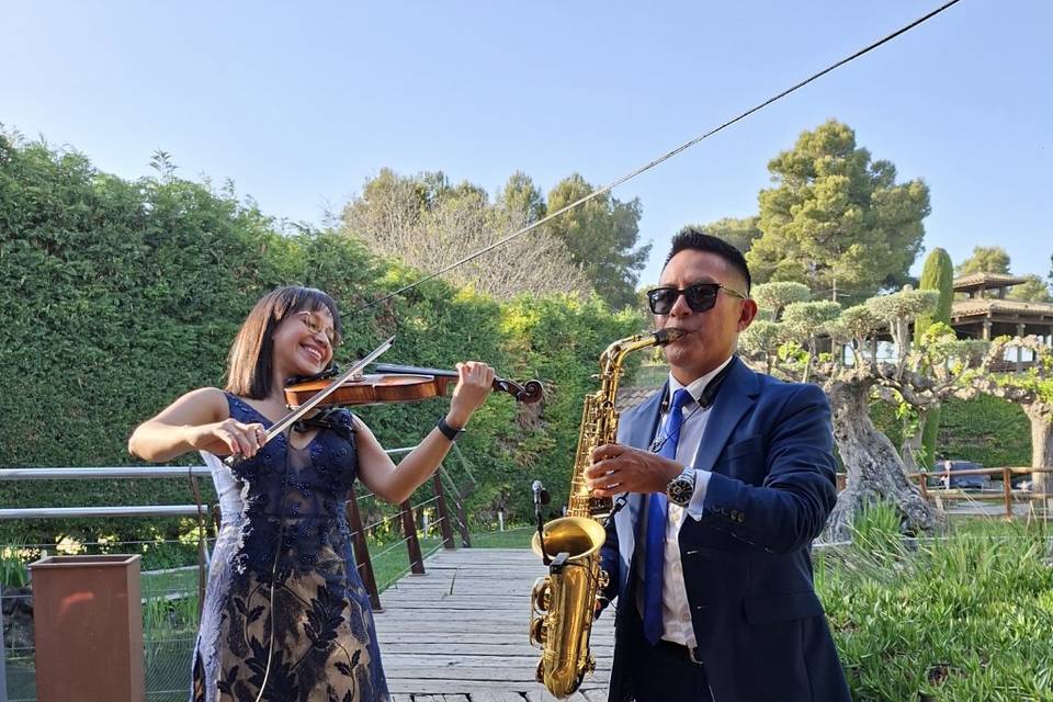 Cóctel 🍸 de Boda ( saxofón y)