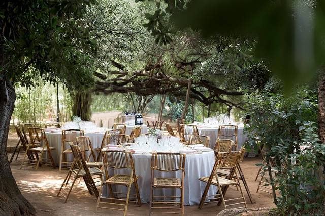 Catering Alameda