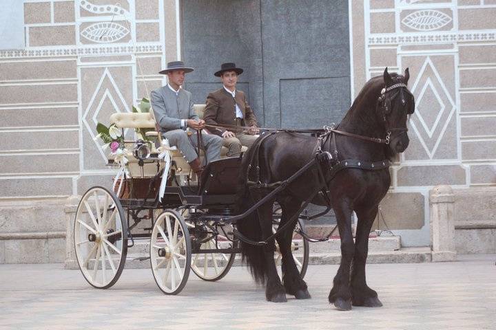 Coche caballos