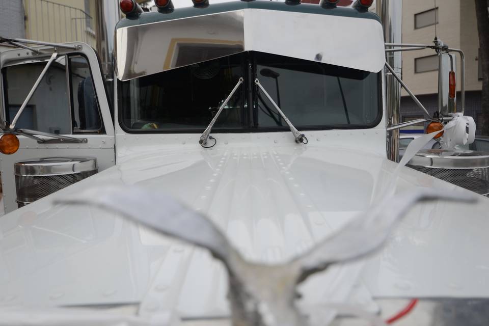 Interior peterbilt