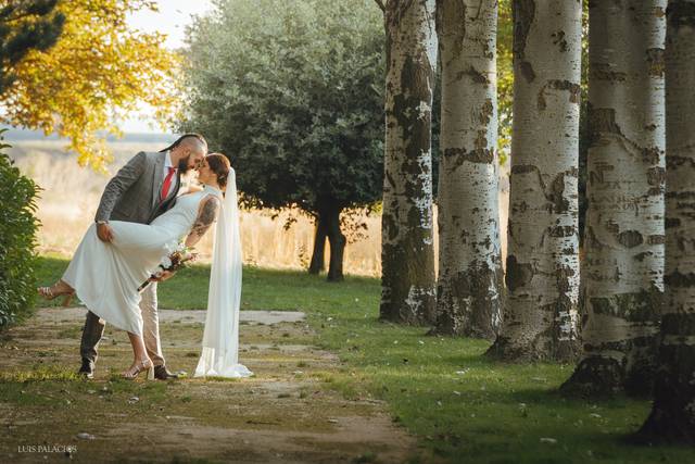 Luis Palacios Imagen