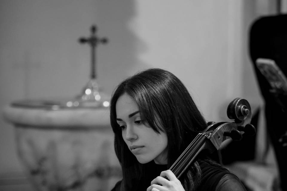 Violonchelo