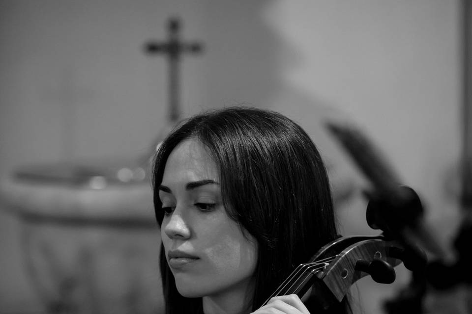Violonchelo
