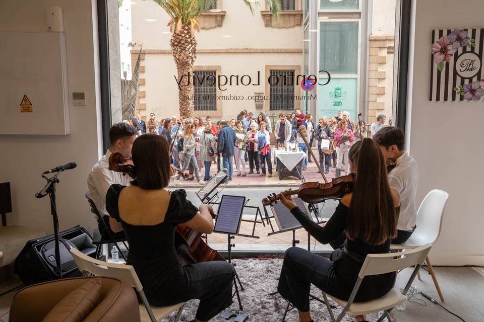 Festival Murcia en la Vitrina