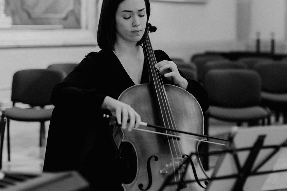 Violonchelo