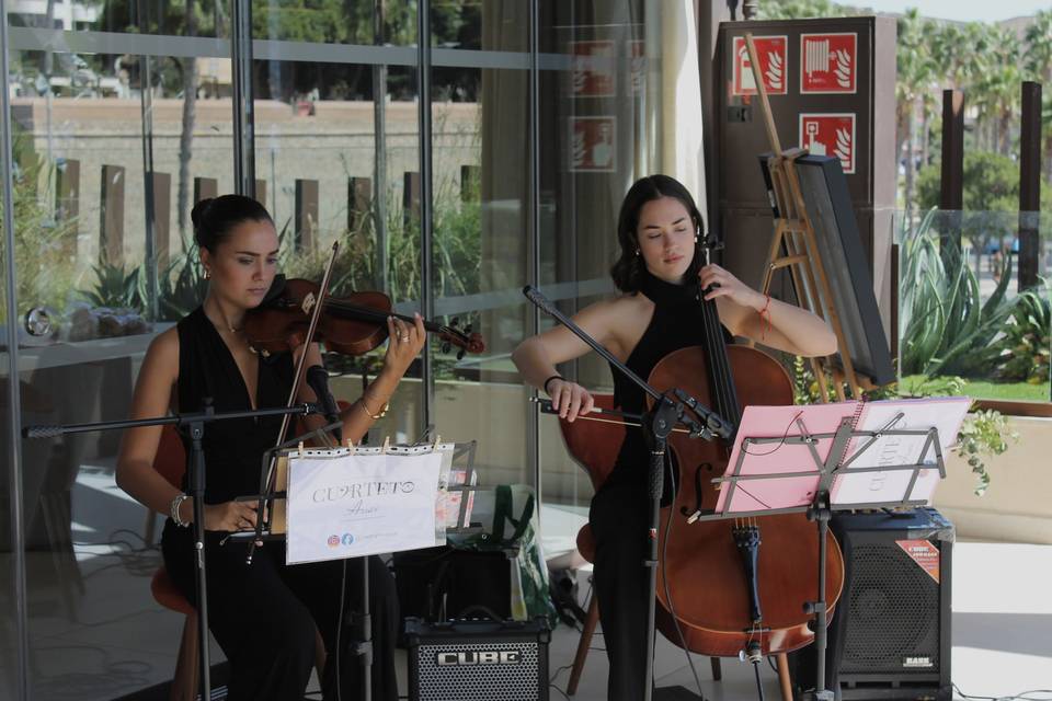 Dúo violín y violonchelo