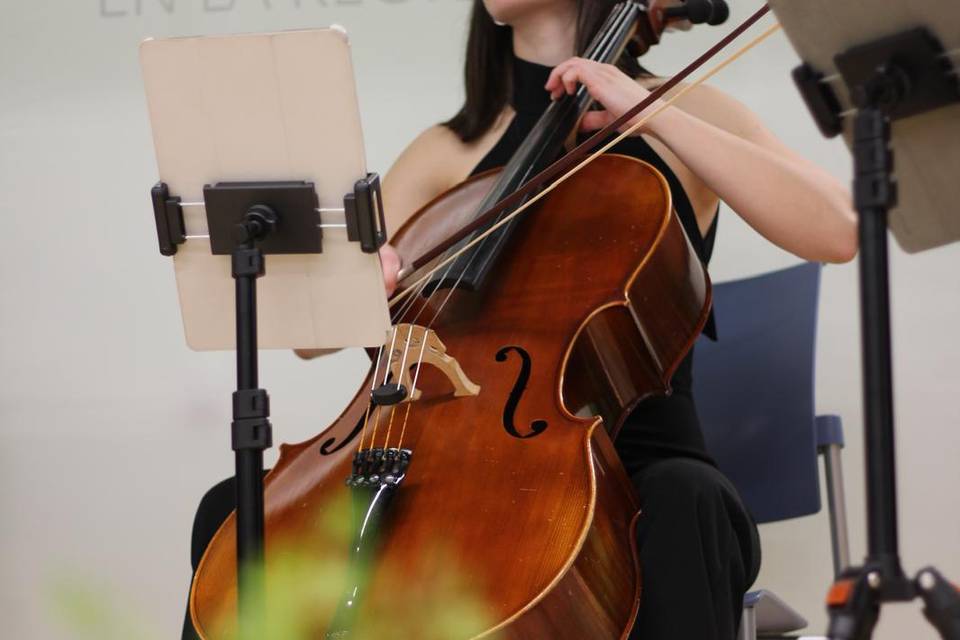 Cuarteto
