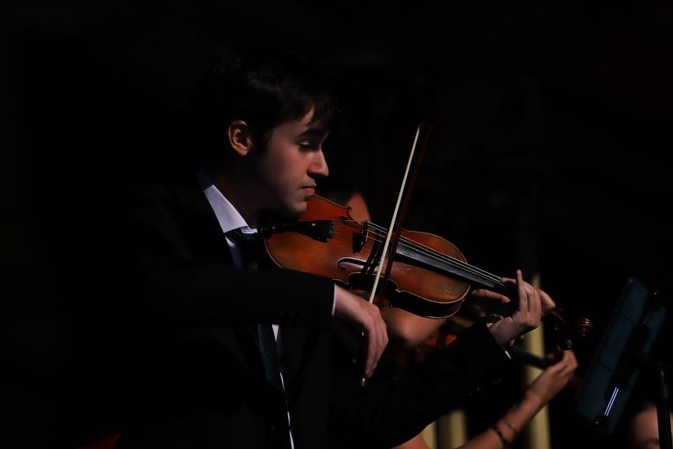 Premios Amusal