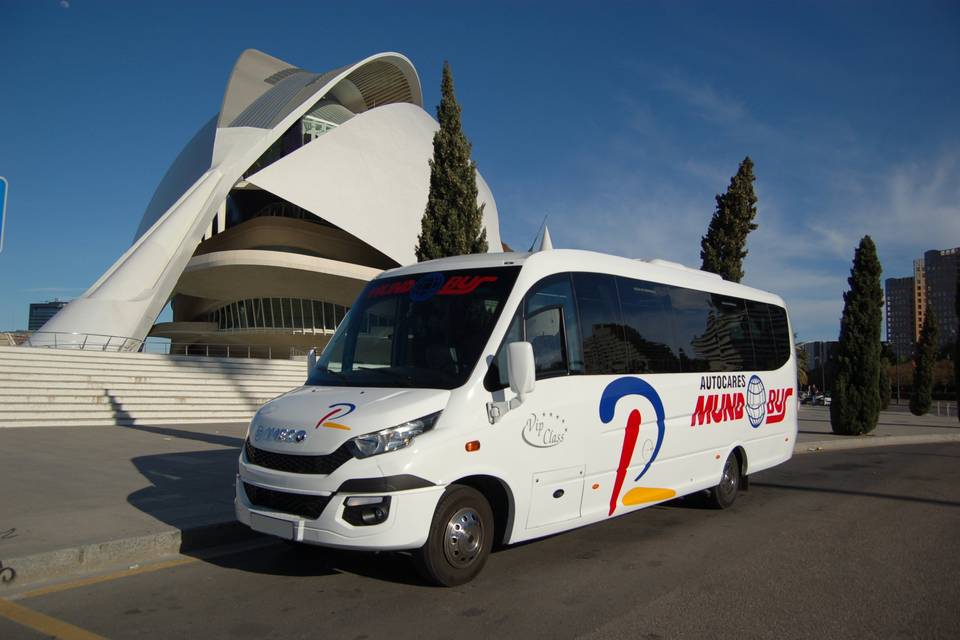 Microbus 26 Plazas VIP