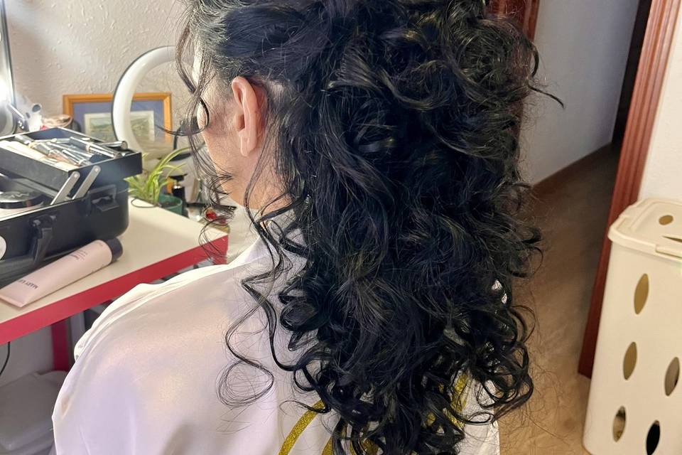 Semirecogido