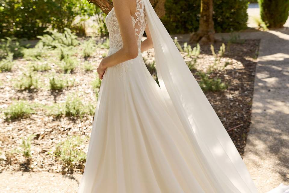Alma Novia