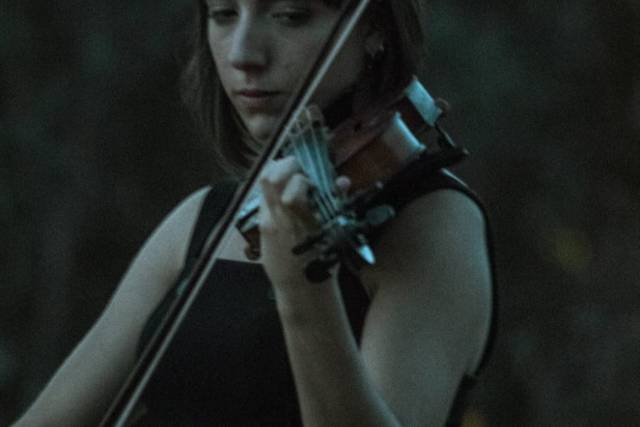Violinista