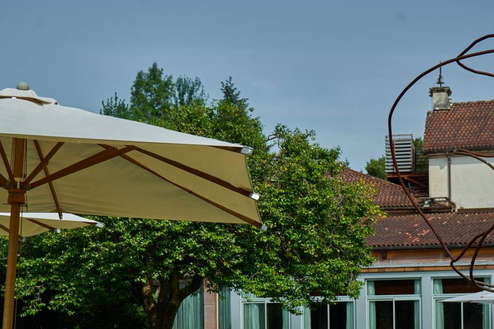 Jardín Camelio - Aperitivo