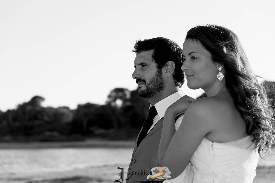 Postboda albufera