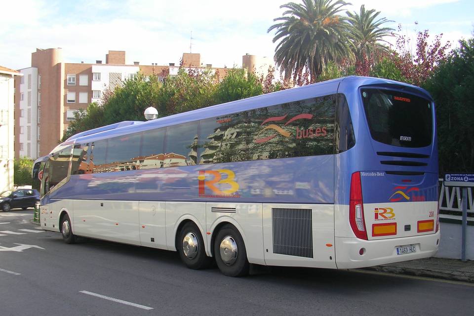 International Regular Bus Castro