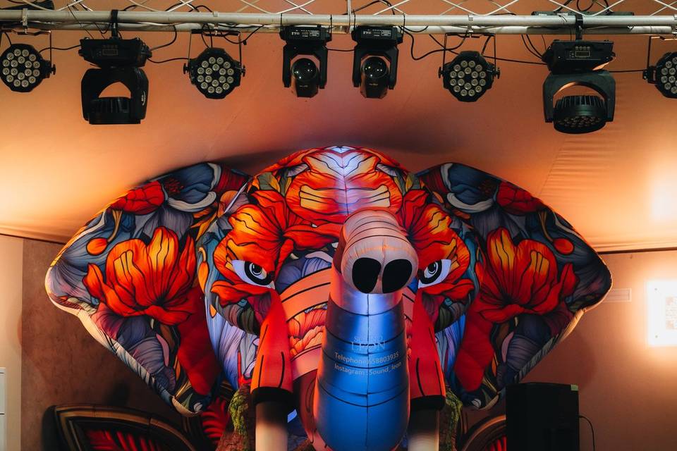 Vive un festival con nosotros