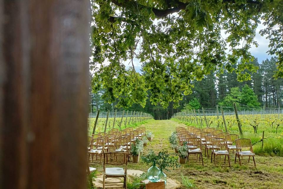 Ceremonias en el viñedo