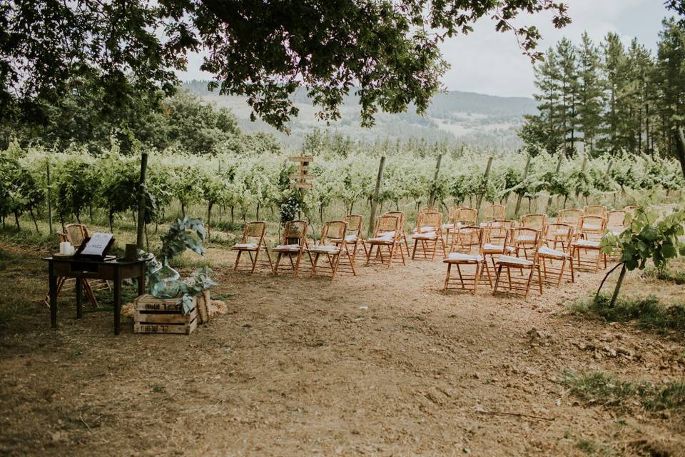 Ceremonias en el viñedo