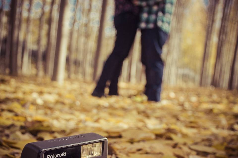 Polaroid Preboda Hojas Otoño