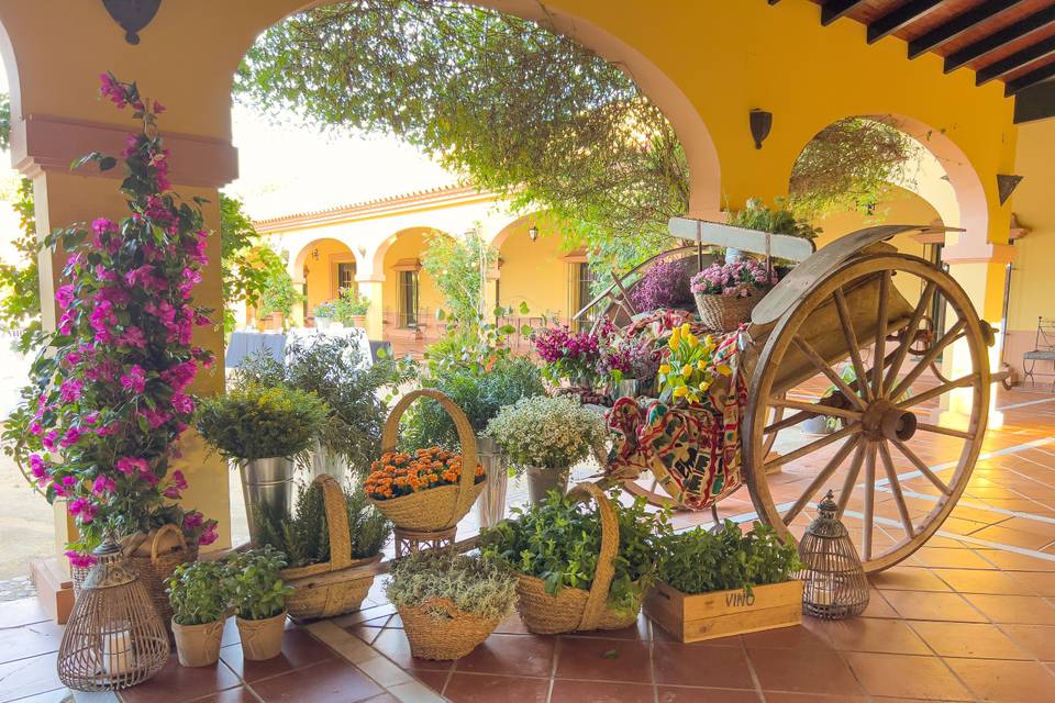 Bodegón de bienvenida