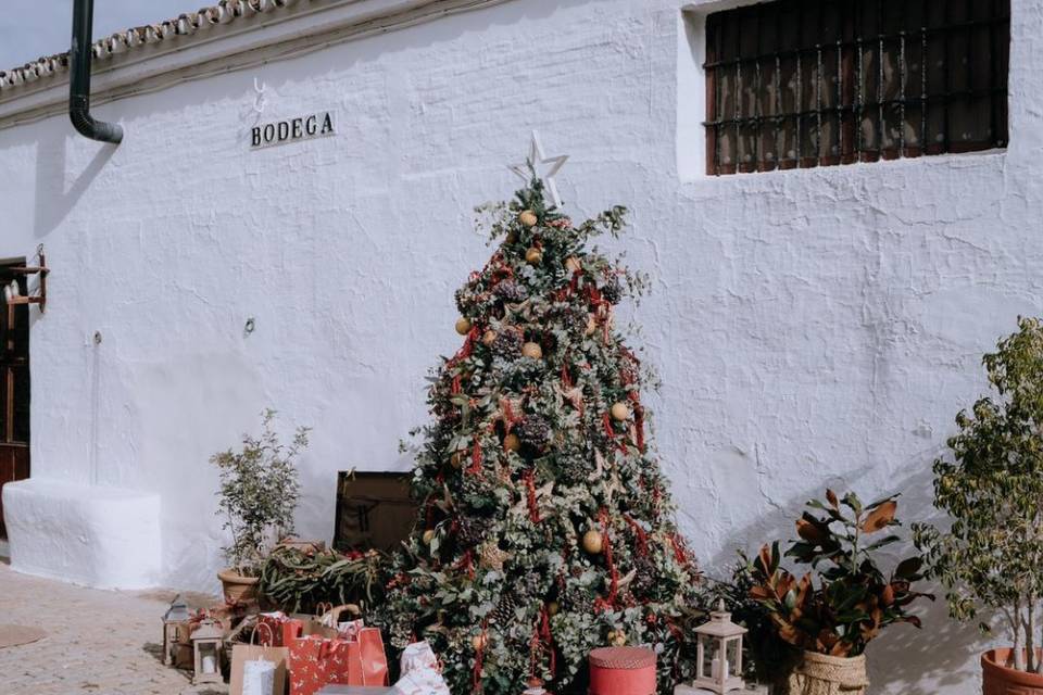 Melero Floristas