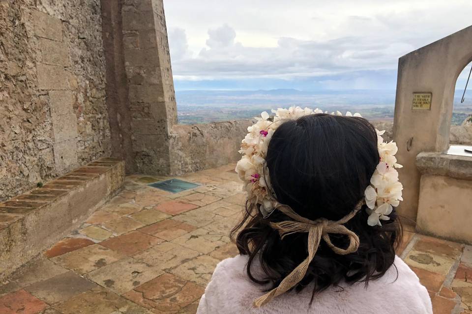 Corona de hortensias y paniculata