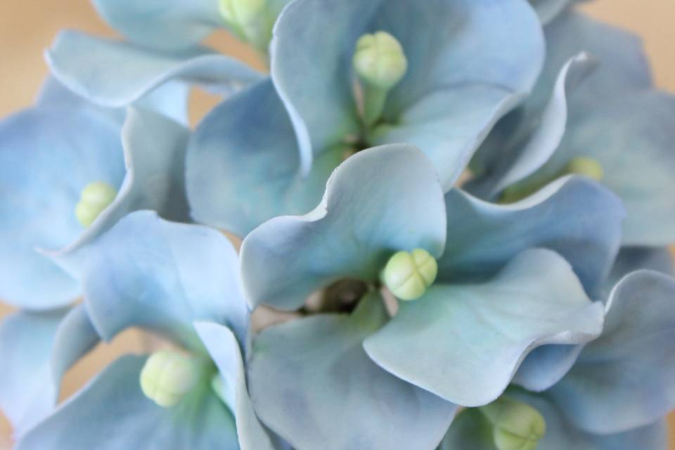 Hortensias modeladas a mano