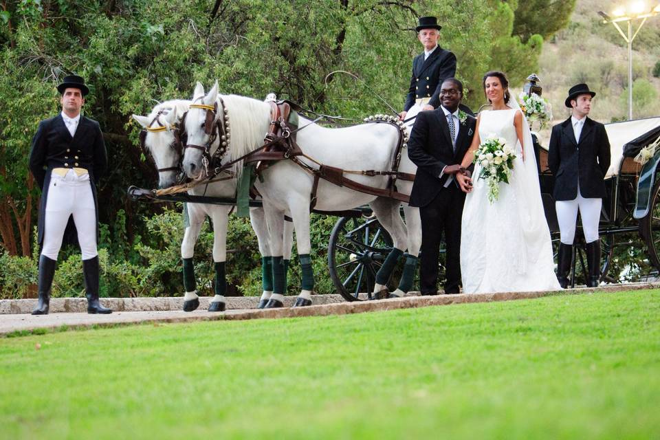 Boda Reveurs