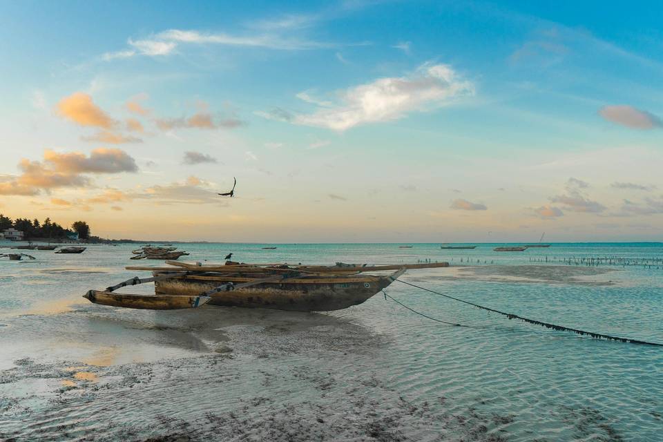 Paraiso africano