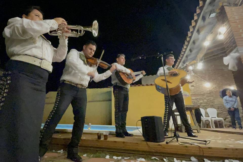 La elección Perfecta