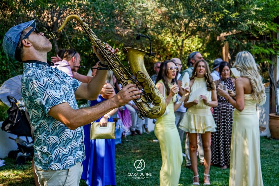 Cortijo Rosa Blanca 2025