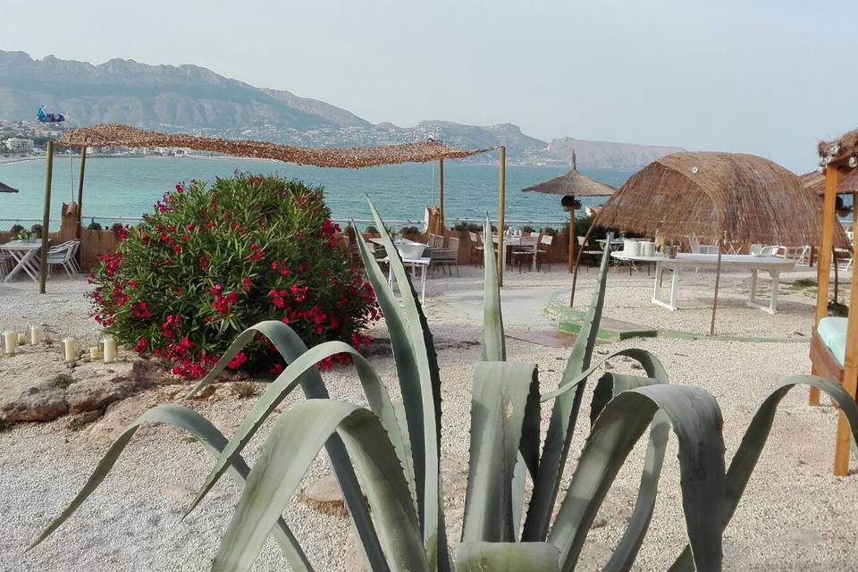 Bodas en la playa