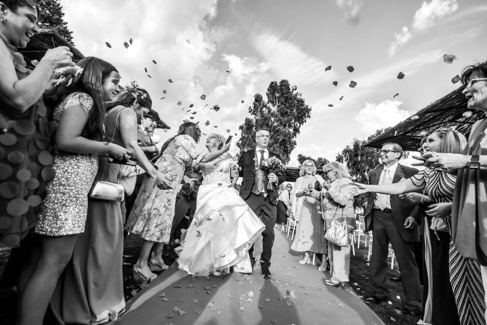 Bodas