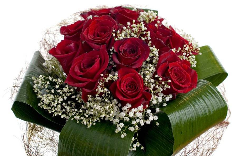 Bouquet con 15 rosas y paniculata