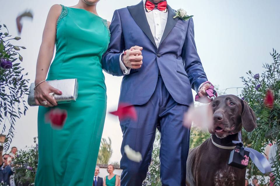 ©Bruno y Garea Fotógrafos Boda